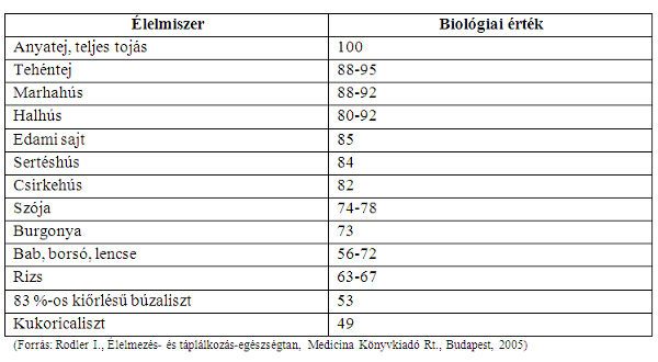 Fehérjék biológiai értéke